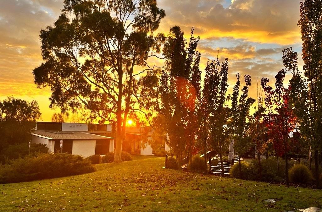 Top Attractions Near Waurn Ponds Estate: Your guide for things to do in Geelong